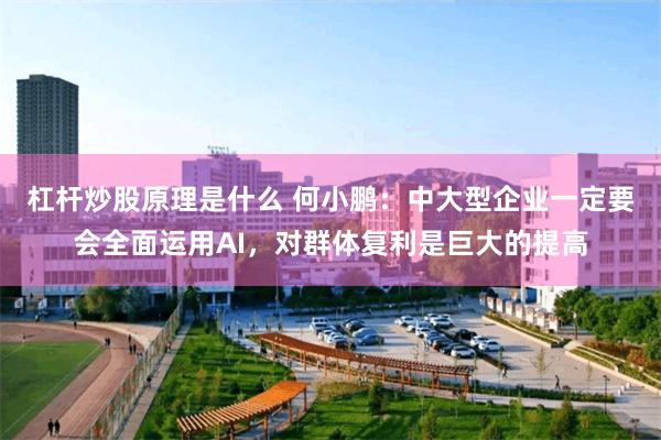 杠杆炒股原理是什么 何小鹏：中大型企业一定要会全面运用AI，对群体复利是巨大的提高