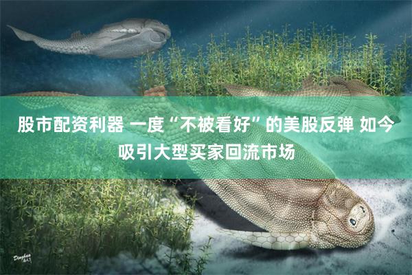 股市配资利器 一度“不被看好”的美股反弹 如今吸引大型买家回流市场