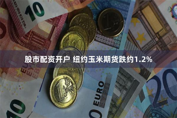 股市配资开户 纽约玉米期货跌约1.2%