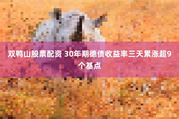 双鸭山股票配资 30年期德债收益率三天累涨超9个基点