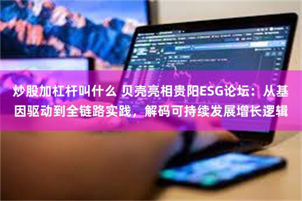 炒股加杠杆叫什么 贝壳亮相贵阳ESG论坛：从基因驱动到全链路实践，解码可持续发展增长逻辑