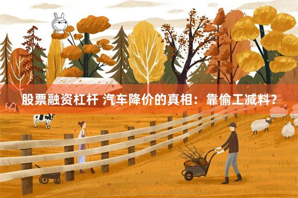 股票融资杠杆 汽车降价的真相：靠偷工减料？