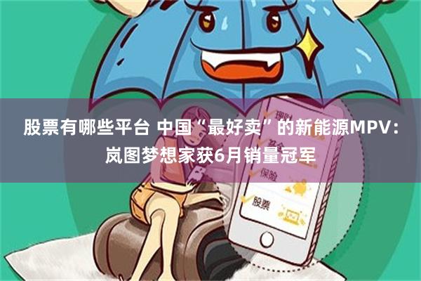 股票有哪些平台 中国“最好卖”的新能源MPV:岚图梦想家获6月销量冠军