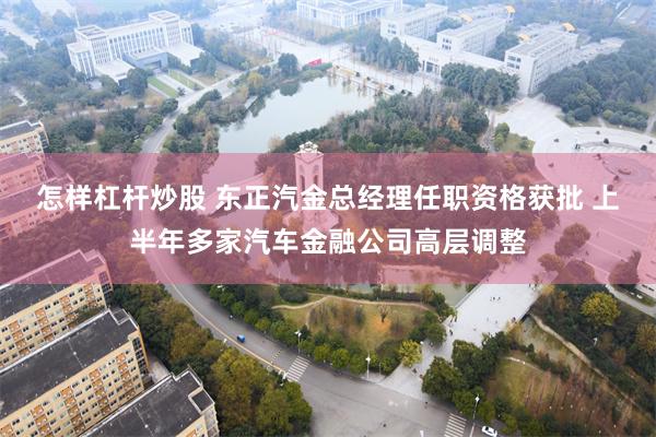 怎样杠杆炒股 东正汽金总经理任职资格获批 上半年多家汽车金融公司高层调整
