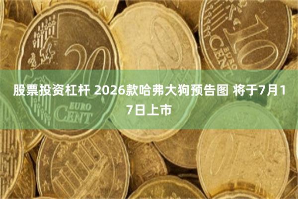 股票投资杠杆 2026款哈弗大狗预告图 将于7月17日上市