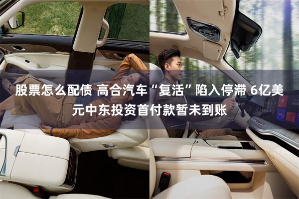 股票怎么配债 高合汽车“复活”陷入停滞 6亿美元中东投资首付款暂未到账