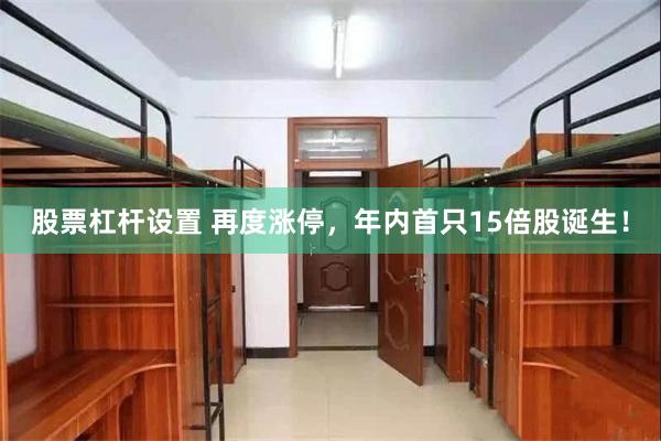 股票杠杆设置 再度涨停,年内首只15倍股诞生!
