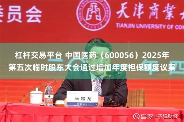 杠杆交易平台 中国医药（600056）2025年第五次临时股东大会通过增加年度担保额度议案
