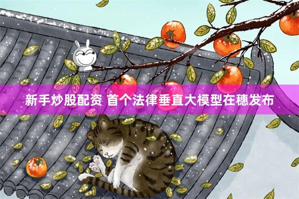 新手炒股配资 首个法律垂直大模型在穗发布