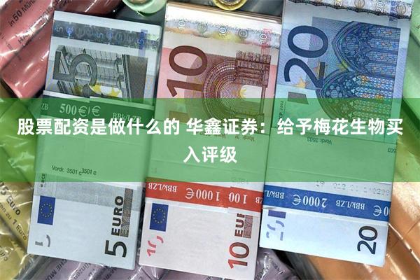 股票配资是做什么的 华鑫证券：给予梅花生物买入评级