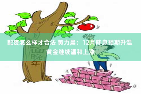 配资怎么样才合法 黄力晨：12月降息预期升温 黄金继续温和上涨