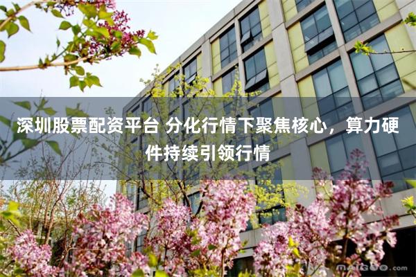 深圳股票配资平台 分化行情下聚焦核心,算力硬件持续引领行情