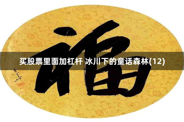 买股票里面加杠杆 冰川下的童话森林(12)