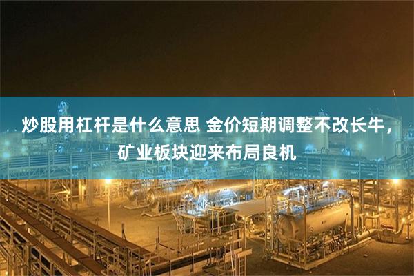 炒股用杠杆是什么意思 金价短期调整不改长牛，矿业板块迎来布局良机