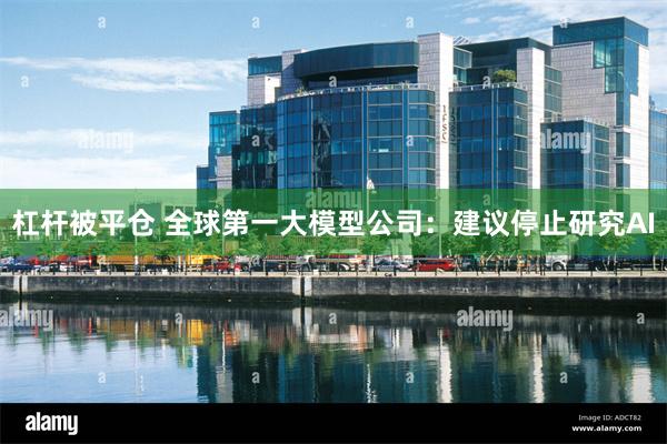 杠杆被平仓 全球第一大模型公司：建议停止研究AI