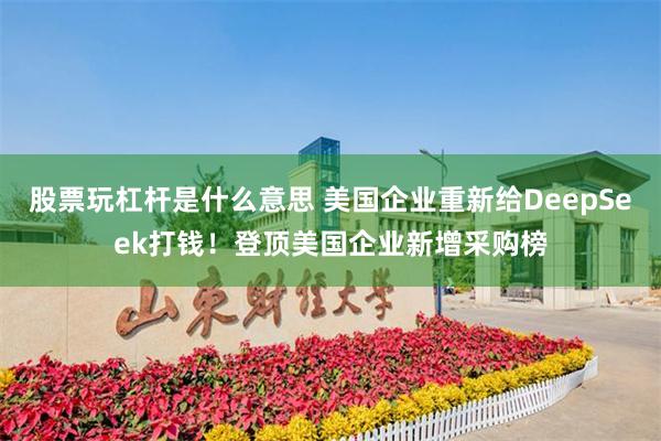股票玩杠杆是什么意思 美国企业重新给DeepSeek打钱！登顶美国企业新增采购榜