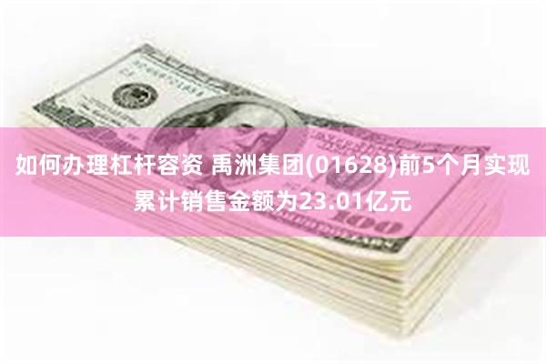 如何办理杠杆容资 禹洲集团(01628)前5个月实现累计销售金额为23.01亿元