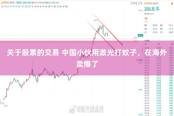 关于股票的交易 中国小伙用激光打蚊子,在海外卖爆了