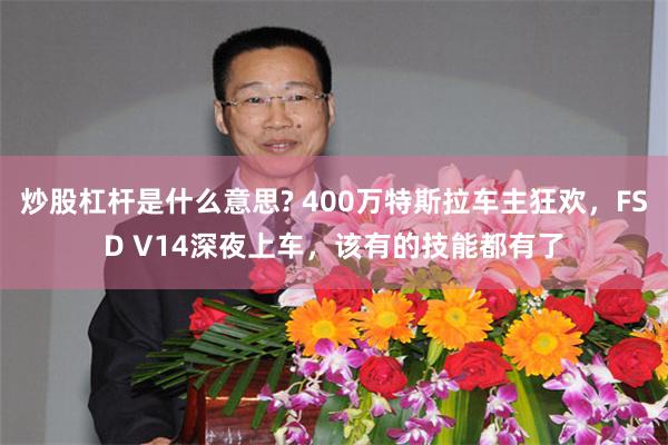 炒股杠杆是什么意思? 400万特斯拉车主狂欢，FSD V14深夜上车，该有的技能都有了