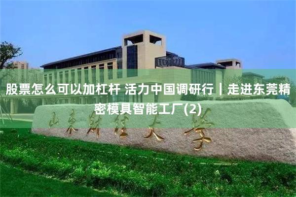 股票怎么可以加杠杆 活力中国调研行｜走进东莞精密模具智能工厂(2)