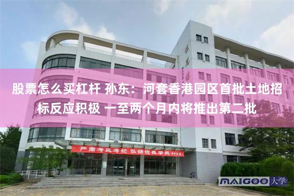 股票怎么买杠杆 孙东：河套香港园区首批土地招标反应积极 一至两个月内将推出第二批