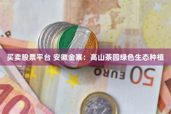 买卖股票平台 安徽金寨：高山茶园绿色生态种植