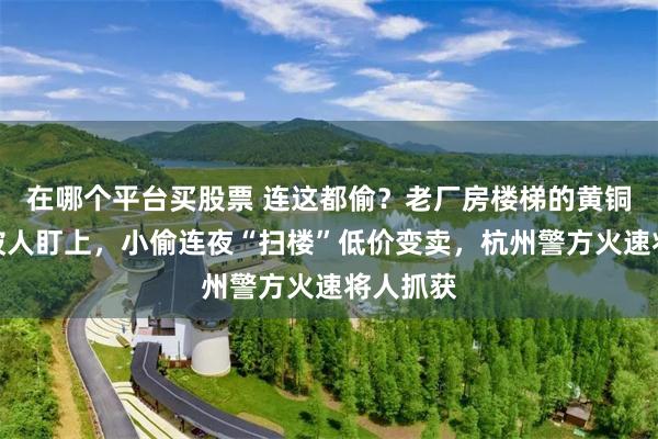 在哪个平台买股票 连这都偷？老厂房楼梯的黄铜防滑条被人盯上，小偷连夜“扫楼”低价变卖，杭州警方火速将人抓获