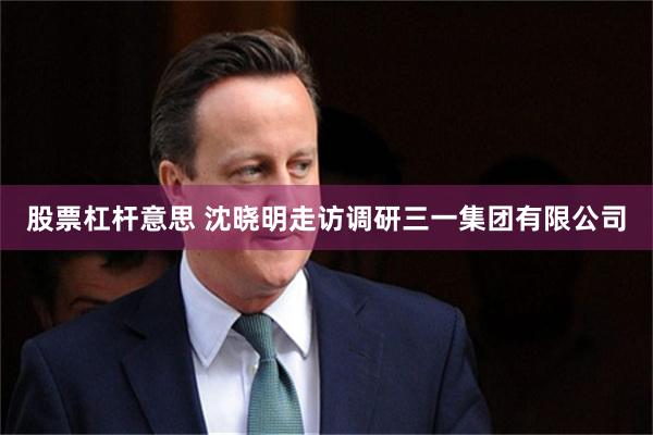 股票杠杆意思 沈晓明走访调研三一集团有限公司
