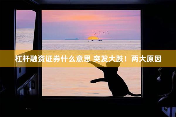 杠杆融资证券什么意思 突发大跌！两大原因