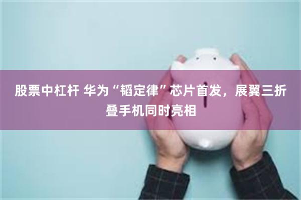 股票中杠杆 华为“韬定律”芯片首发，展翼三折叠手机同时亮相