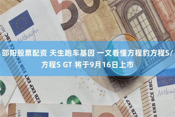邵阳股票配资 天生跑车基因 一文看懂方程豹方程S/方程S GT 将于9月16日上市