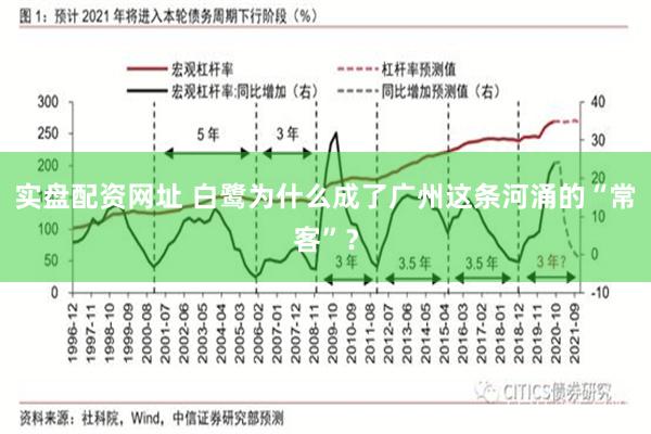 实盘配资网址 白鹭为什么成了广州这条河涌的“常客”？
