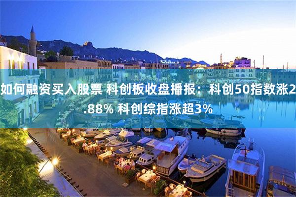 如何融资买入股票 科创板收盘播报：科创50指数涨2.88% 科创综指涨超3%