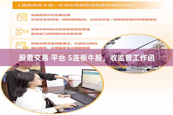 股票交易 平台 5连板牛股，收监管工作函