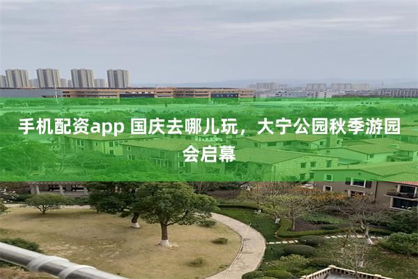 手机配资app 国庆去哪儿玩，大宁公园秋季游园会启幕