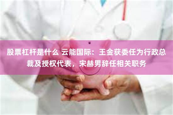 股票杠杆是什么 云能国际：王金获委任为行政总裁及授权代表，宋赫男辞任相关职务