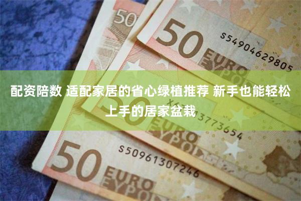 配资陪数 适配家居的省心绿植推荐 新手也能轻松上手的居家盆栽