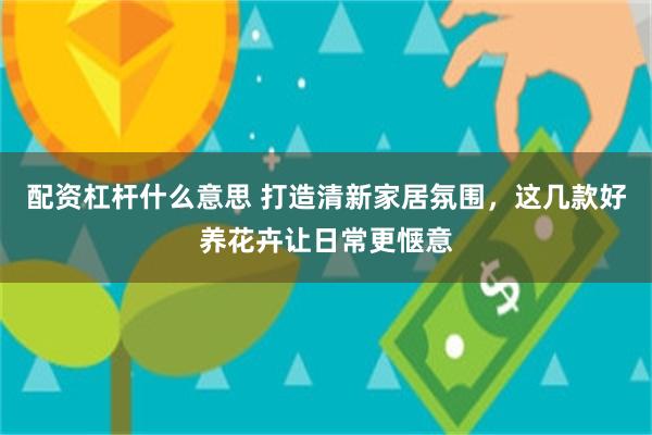 配资杠杆什么意思 打造清新家居氛围，这几款好养花卉让日常更惬意