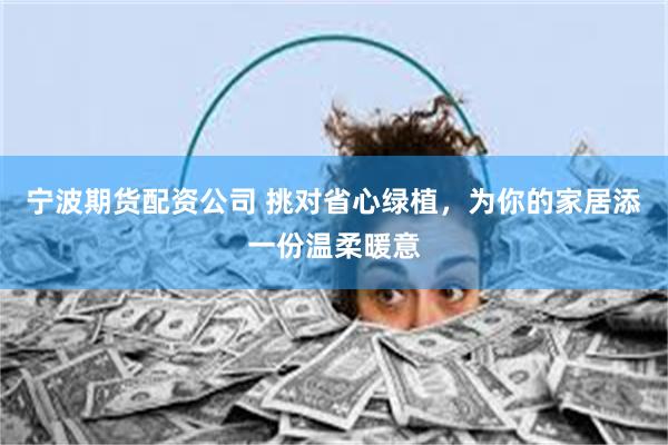 宁波期货配资公司 挑对省心绿植，为你的家居添一份温柔暖意